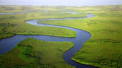 A winding river on Gambia